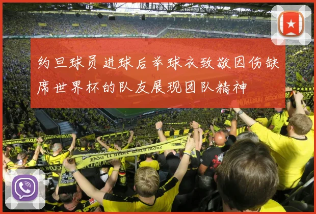 约旦球员进球后举球衣致敬因伤缺席世界杯的队友展现团队精神